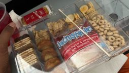AA Flight Attendant Snatches Toddler's Snacks, claims parents
