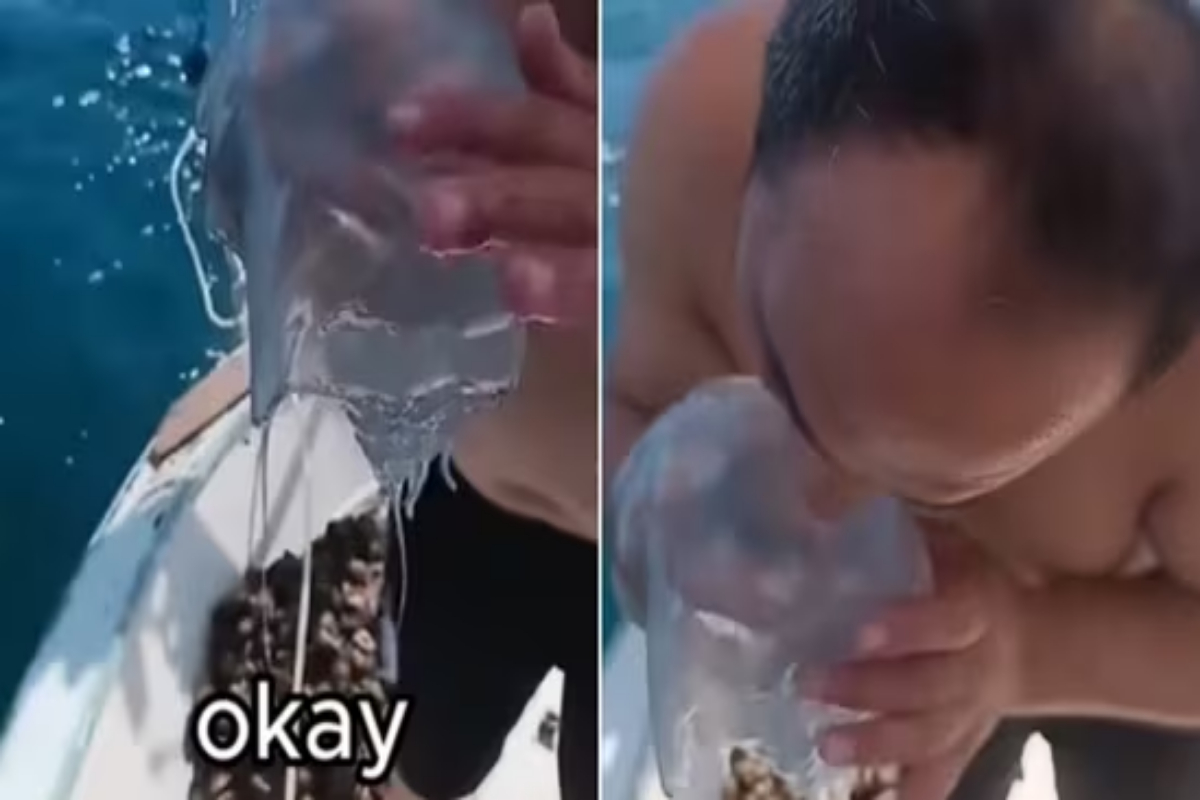 Viral Video