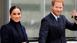 Meghan Markle & Prince Harry advised to take stock of their situation