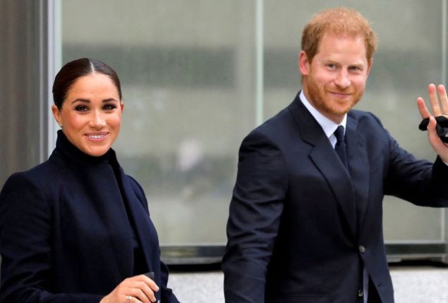 Meghan Markle & Prince Harry advised to take stock of their situation
