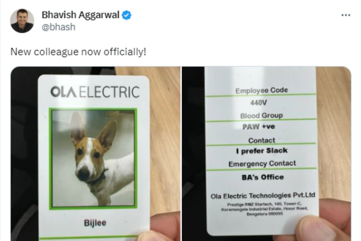 Bijlee the Dog Joins Ola Electric as Newest Employee