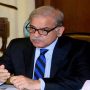 SIFC to ensure execution of foreign investment projects: PM