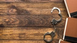 Early lead exposure may increase chance of crime