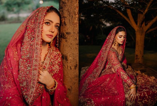 Zara Noor Abbas Radiates Elegance in Bridal pictures