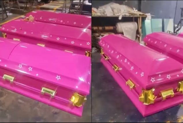 Barbiecore Coffins: The Newest Way to Celebrate Life and Death
