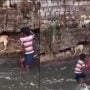 Young Heroes Rescue Terrified Dog in Heartwarming Video