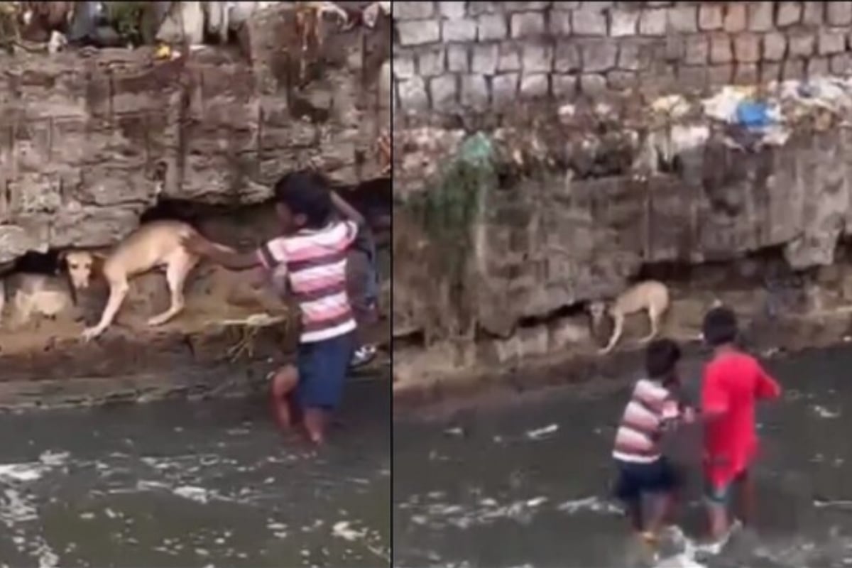 Heartwarming Video