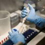 PMA deeply concerned over detection of Afghan origin polio virus