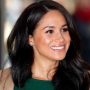 Will Meghan Markle ever make comeback in acting?