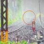 Leopard or Tiger? Wild Cat Spotted Sprinting Through Fog