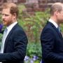 Prince Harry To Reopen Old Wounds Of Prince William