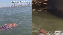 Woman Swims 36 KM to Gateway of India for Cancer Awareness