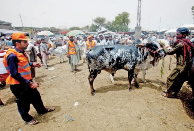 PMA expresses concern over surge in Congo cases in KP