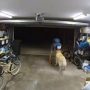 Robber plays with golden retriever, then steals Rs 1.7 lakh bicycle