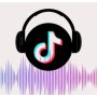 TikTok launches a livestream music contest