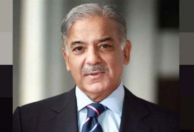 One window operation facility for Chinese investors to be implemented: PM