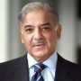 One window operation facility for Chinese investors to be implemented: PM