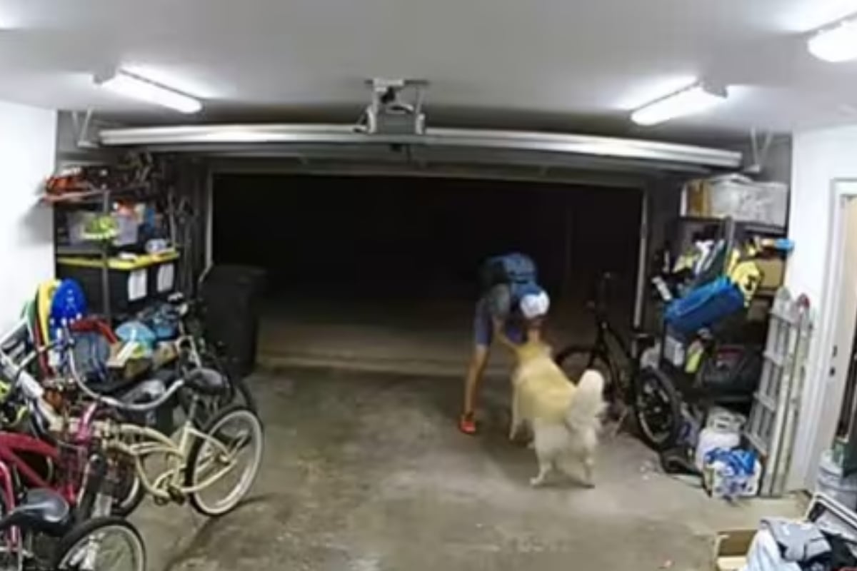 Bike Thief Suspect