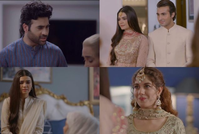 Netizens React To  Last Episode Of ‘Meray Hi Rehna’