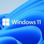 Microsoft Removes Some Intel Xeon CPUs from Windows 11 Support List