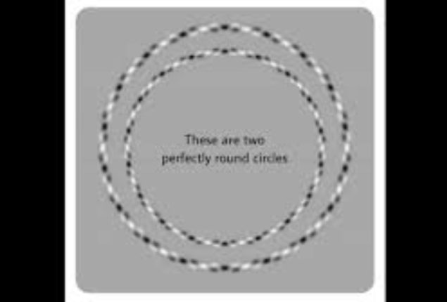 Can You See the Circles? Or Are You Just Seeing Squares?