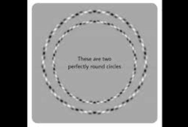 Can You See the Circles? Or Are You Just Seeing Squares?