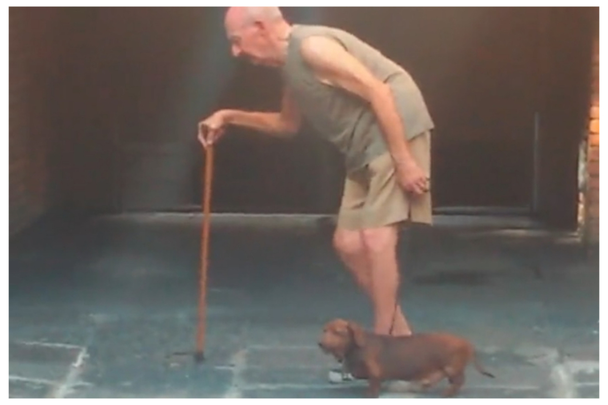 Dog's Incredible Patience With Elderly Owner Goes Viral