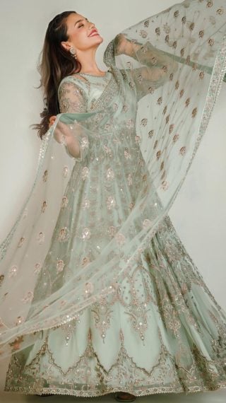 Zara Noor Abbas Radiates Elegance in Pishwas dress