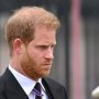 Royal family removed title of Prince Harry from their website