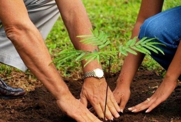 Monsoon tree plantation campaign kicks off in KP