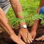 Monsoon tree plantation campaign kicks off in KP