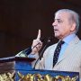 Saving Pakistan from default biggest success of PDM: PM