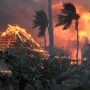Hurricane & Maui flames Dora wreak killed 6 people
