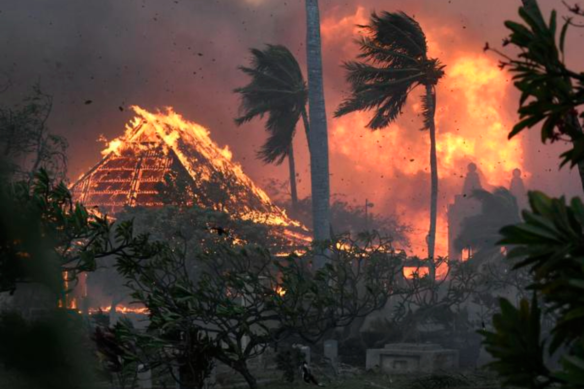 Hurricane Maui flames Dora wreak