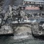 Deadly Wildfire Devastates Hawaiian Town: Tragedy and Recovery