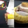 Man Tries to Smuggle 14 Snakes in His Pockets, Gets Caught