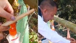 Nagaland Minister Shares Video of Sustainable Bamboo Washbasin