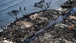 Wildfires in Hawaii Lahaina