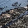 Wildfires in Hawaii: Lahaina destroyed and death toll rises to 67