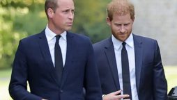 Realization of Prince William’s reasons for Prince Harry’s reunion
