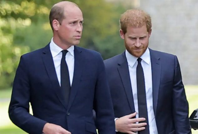 Realization of Prince William’s reasons for Prince Harry’s reunion