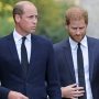 Realization of Prince William’s reasons for Prince Harry’s reunion