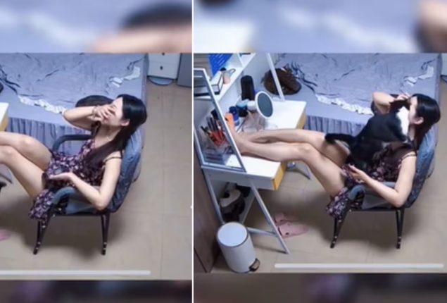 Cat to the Rescue! Animal Friend Lends a Paw to Crying Woman