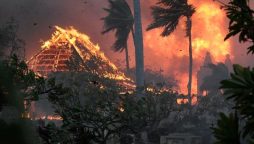 Maui wildfires death toll climbs to 80