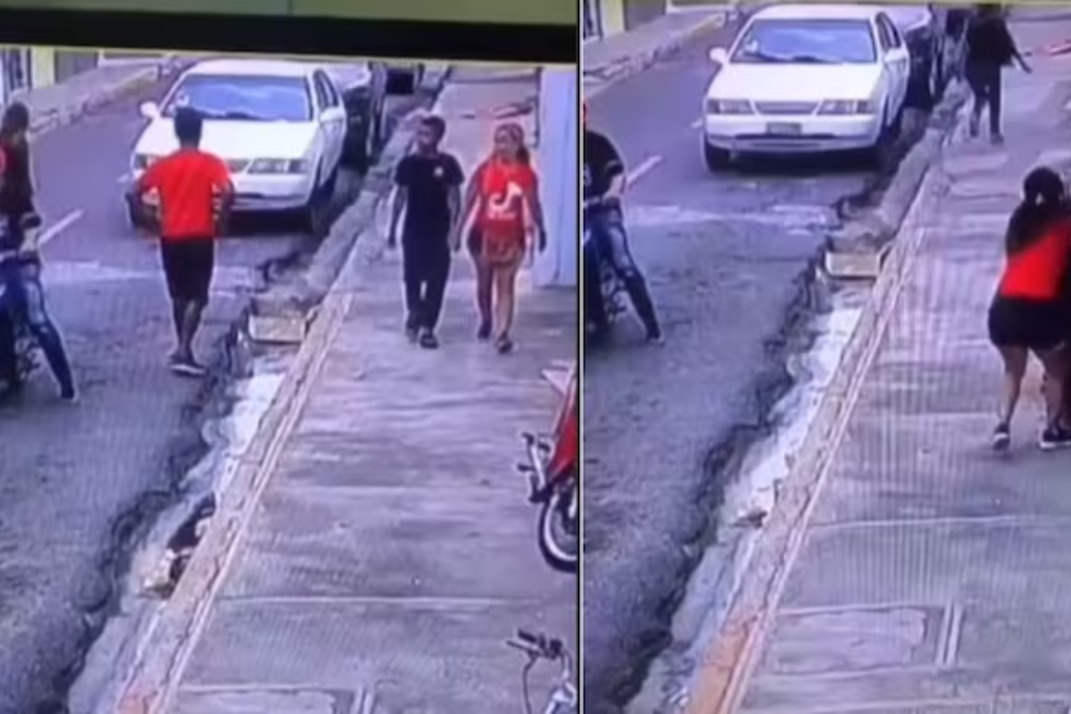Son's heroic act chases away robber, saves mother's purse