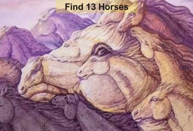 Can You Spot 13 Horses in This Optical Illusion?