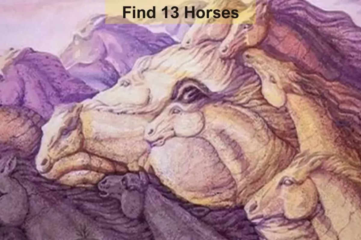 Can You Spot 13 Horses in This Optical Illusion?