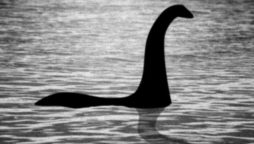 Biggest Nessie hunt in 50 years to start soon