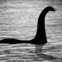 Biggest Nessie hunt in 50 years to start soon