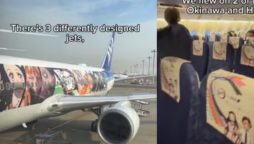Demon Slayer Collaboration: Viral Video of Special Jets in Japan